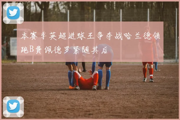 本赛季英超进球王争夺战哈兰德领跑B费佩德罗紧随其后