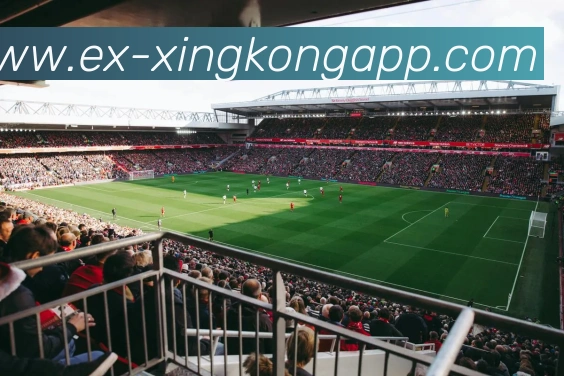星空体育APP 封面图